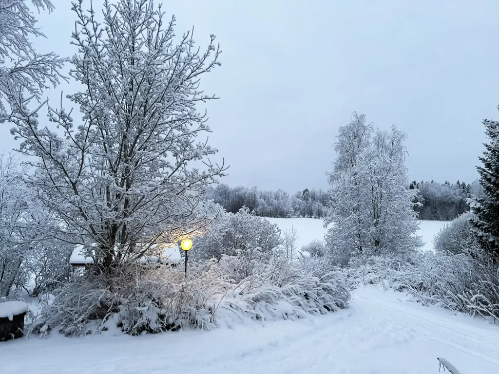 Tahkovuori-rantamokki-ranta