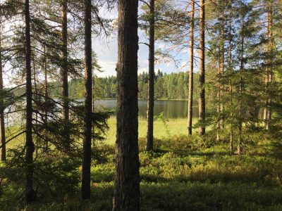 järvi tahko