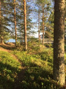 järvi tahko