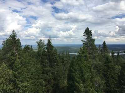 maisema tahko