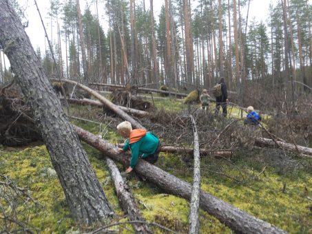 huuhkajankierros tahko