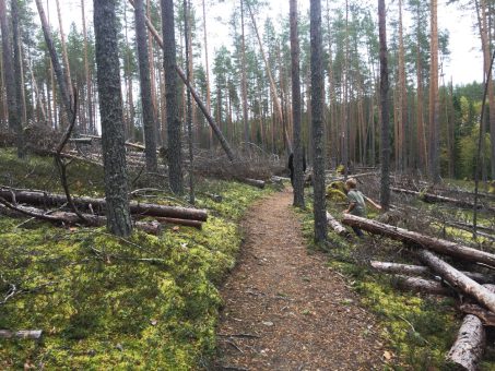 huuhkajankierros tahko