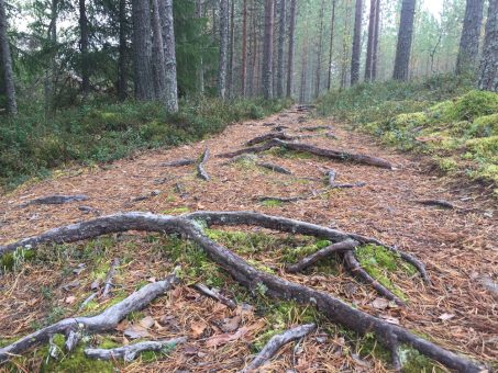 huuhkajankierros tahko