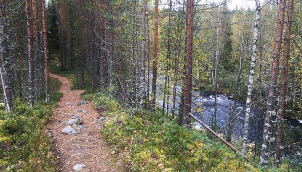 huuhkajankierros-tiilikkajoki
