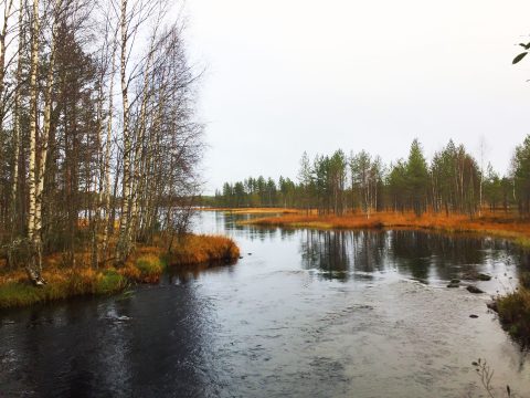tahko kansallispuisto