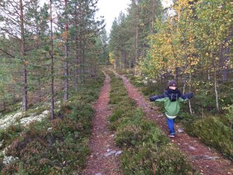 metsä tahko