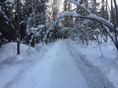 fatbike tahko