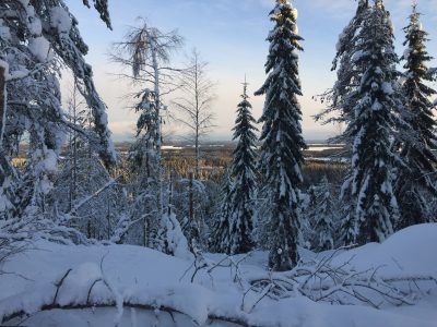 fatbike tahko