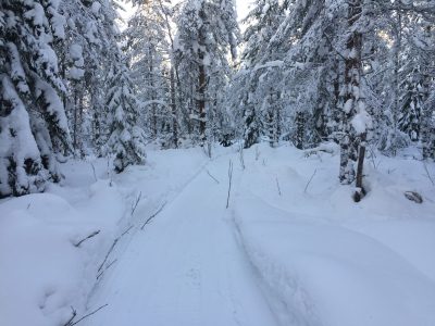 fatbike tahko