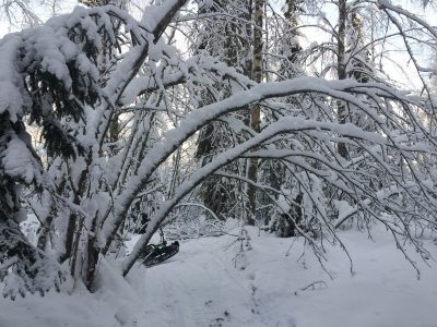 fatbike tahko