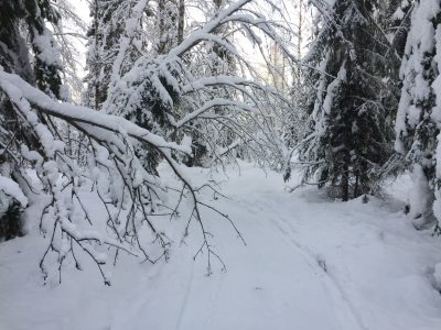 fatbike tahko