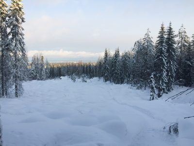 fatbike tahko