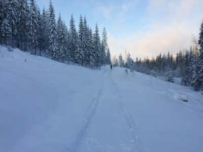 fatbike tahko
