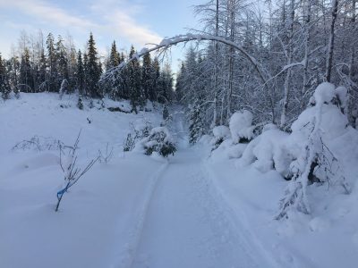 fatbike tahko