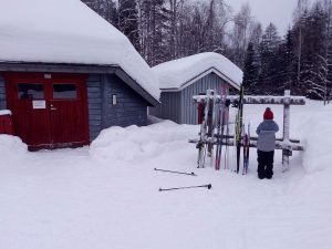 Aholansaari tahko
