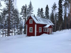Aholansaari tahko
