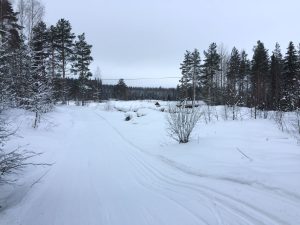 Aholansaari tahko