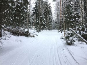 Aholansaari tahko