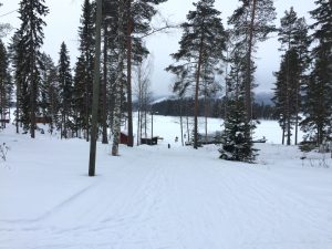 Aholansaari tahko