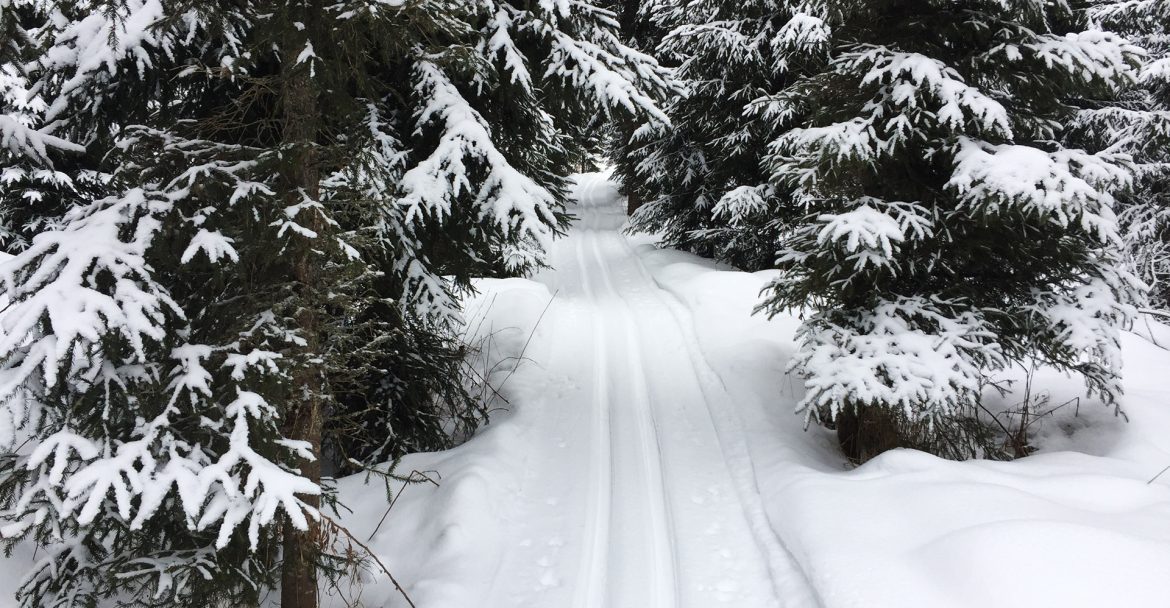 Reittion-kylalatu-10