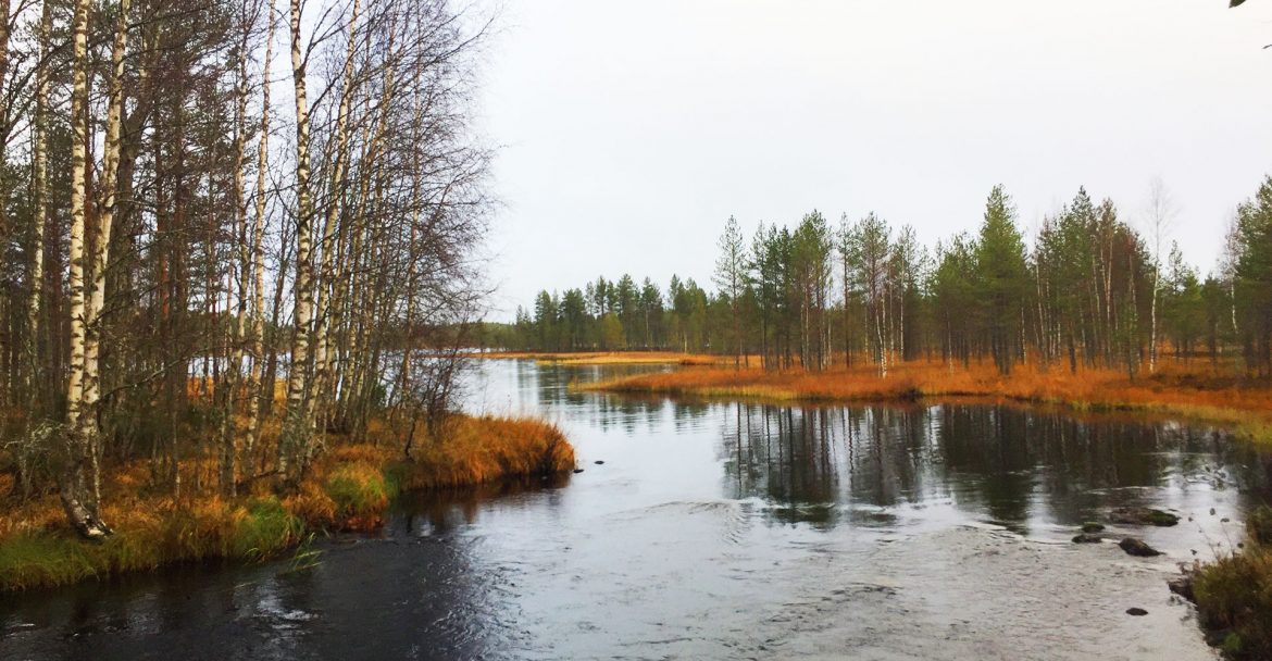 Tiilikkajärven kansallispuisto - melontamaisemia