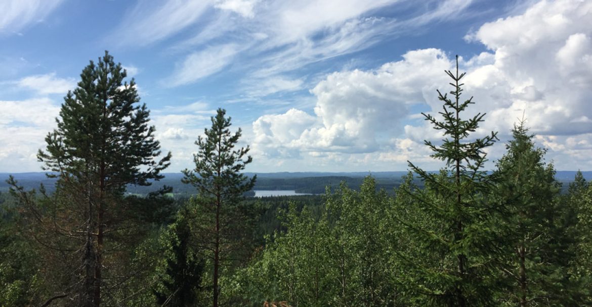 tahkovuori-pisa-maisema-ylhaalta
